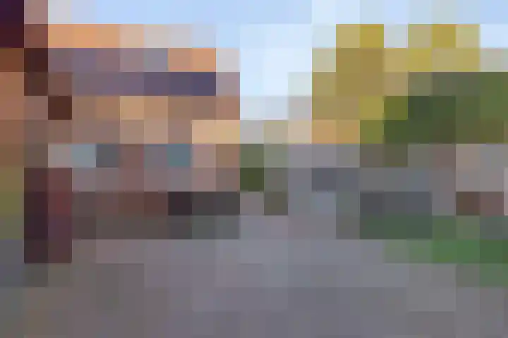 Jan Th. Tooroplaan 52 Ede thumbnail 27