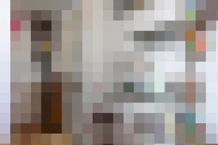 Jan Th. Tooroplaan 52 Ede thumbnail 35