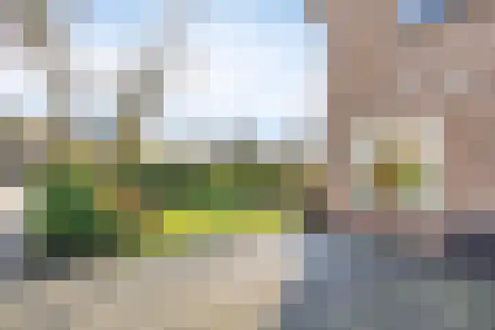 Jan Th. Tooroplaan 52 Ede thumbnail 39