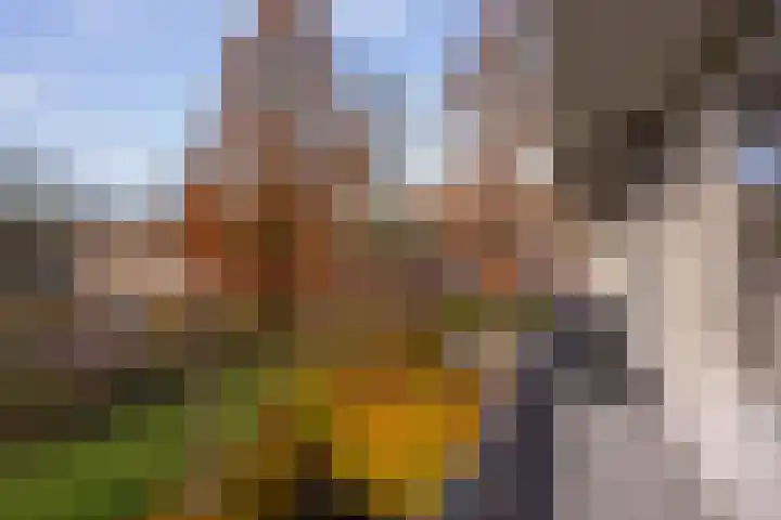 Jan Th. Tooroplaan 59 Ede thumbnail 14