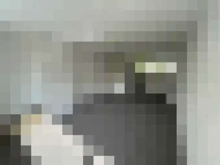 Jan Th. Tooroplaan 59 Ede thumbnail 7