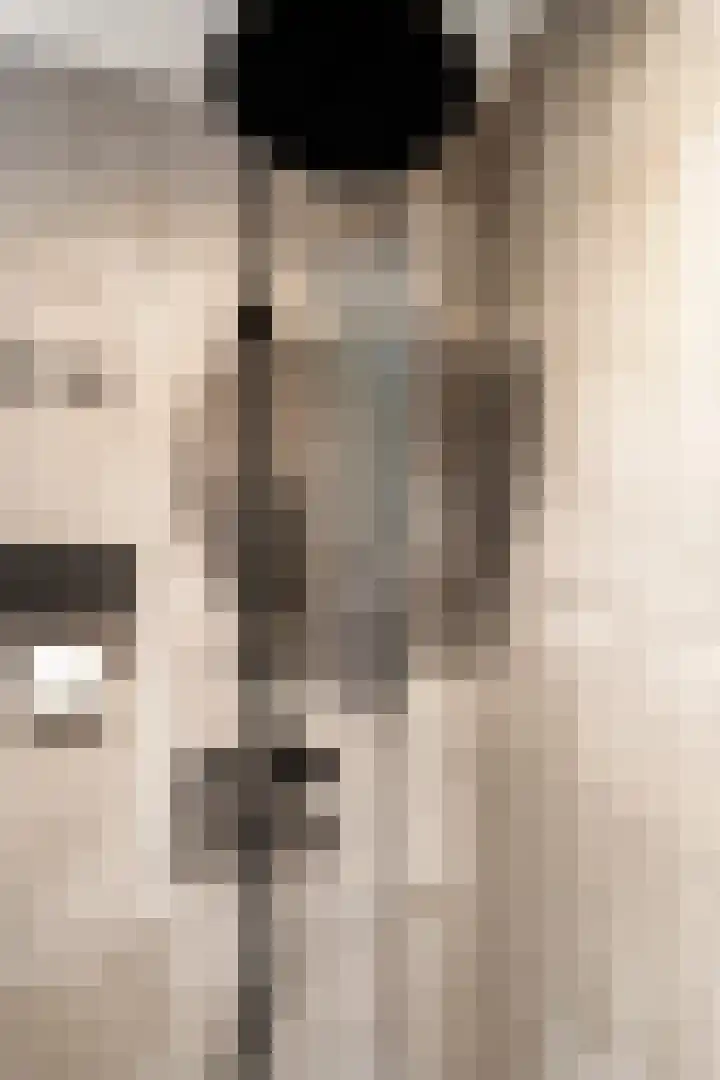 Jan Th. Tooroplaan 61 Ede thumbnail 20