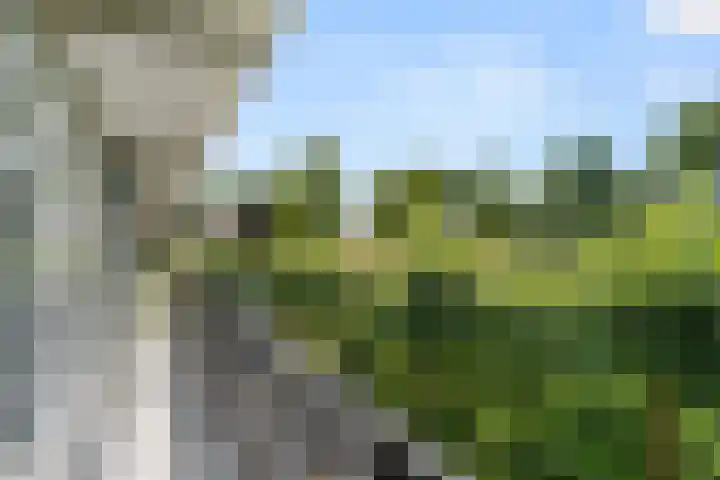 Jan Th. Tooroplaan 61 Ede thumbnail 24