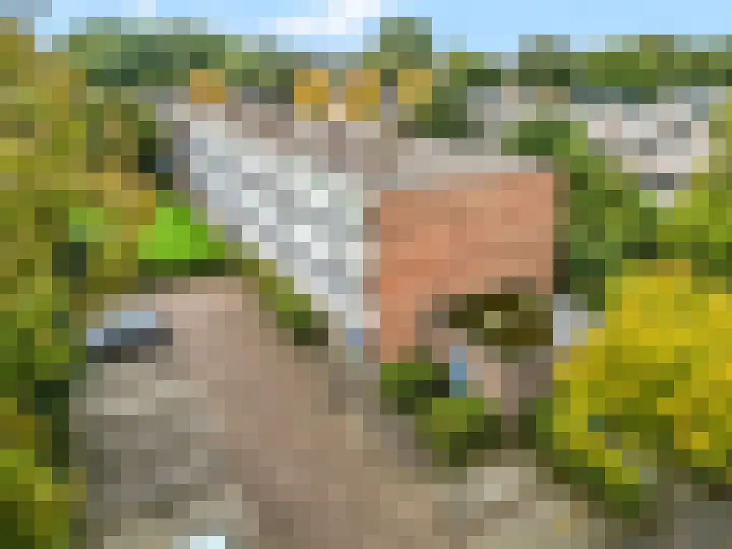 Jan Th. Tooroplaan 65 Ede thumbnail 26