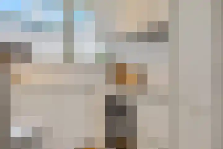Jan Th. Tooroplaan 79 Ede thumbnail 14