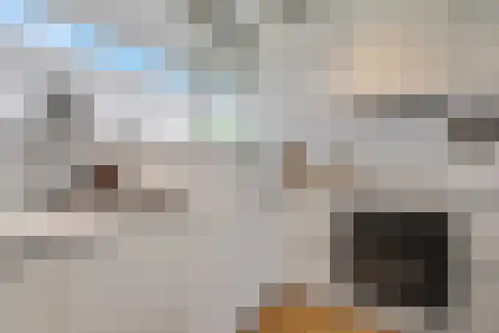 Jan Th. Tooroplaan 79 Ede thumbnail 15