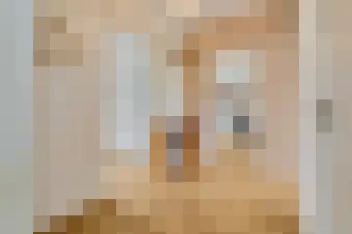 Jan Th. Tooroplaan 79 Ede thumbnail 19