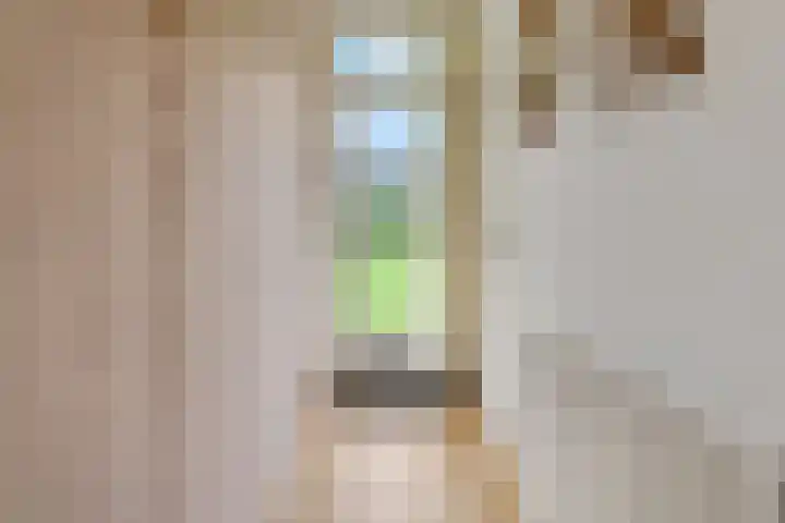 Jan Th. Tooroplaan 79 Ede thumbnail 20