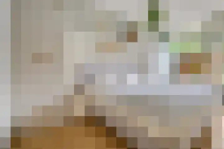Jan Th. Tooroplaan 79 Ede thumbnail 21