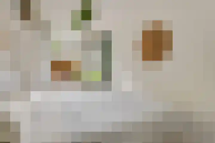 Jan Th. Tooroplaan 79 Ede thumbnail 22