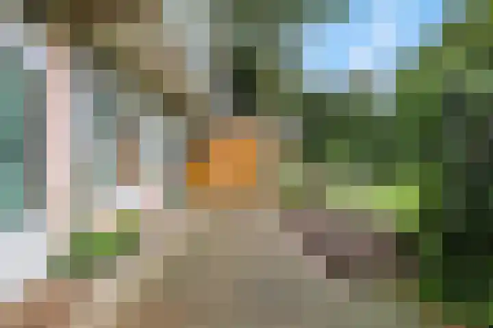 Jan Th. Tooroplaan 79 Ede thumbnail 36