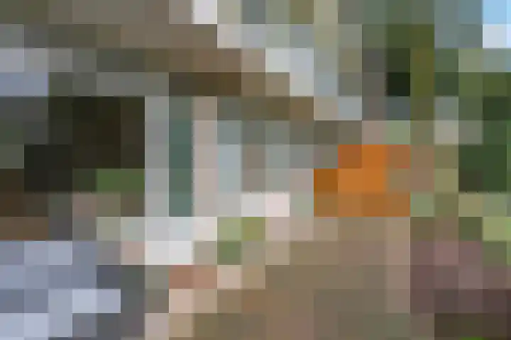 Jan Th. Tooroplaan 79 Ede thumbnail 39