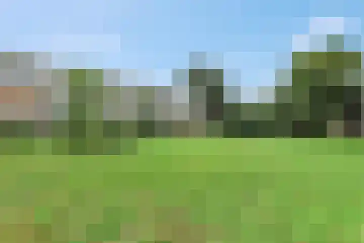 Jan Th. Tooroplaan 79 Ede thumbnail 48