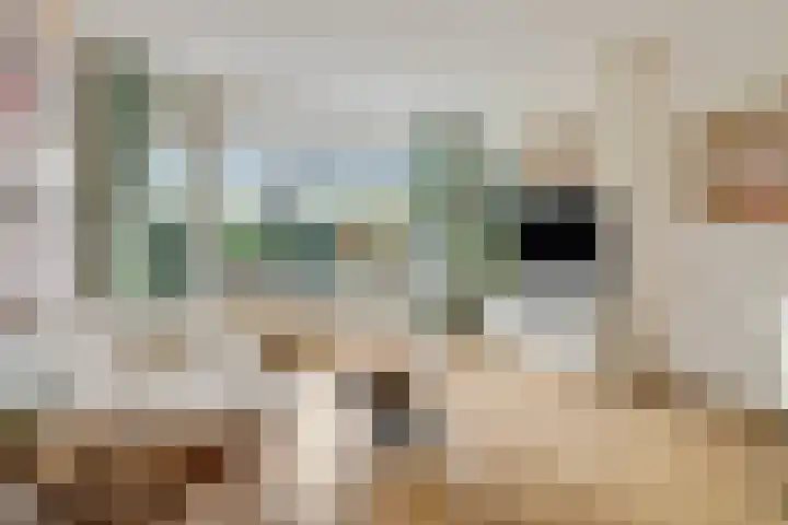 Jan Th. Tooroplaan 79 Ede thumbnail 5