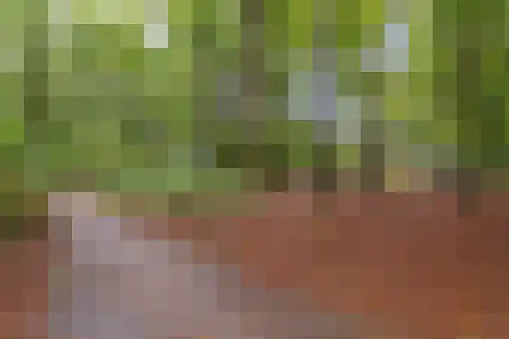 Jan Th. Tooroplaan 79 Ede thumbnail 54