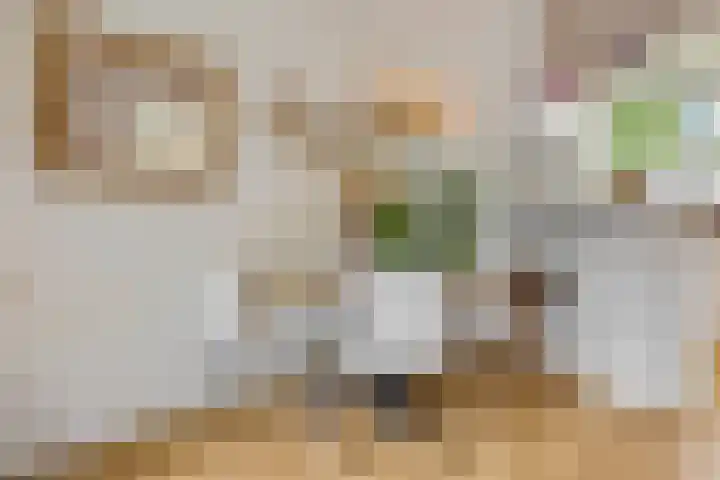 Jan Th. Tooroplaan 79 Ede thumbnail 8