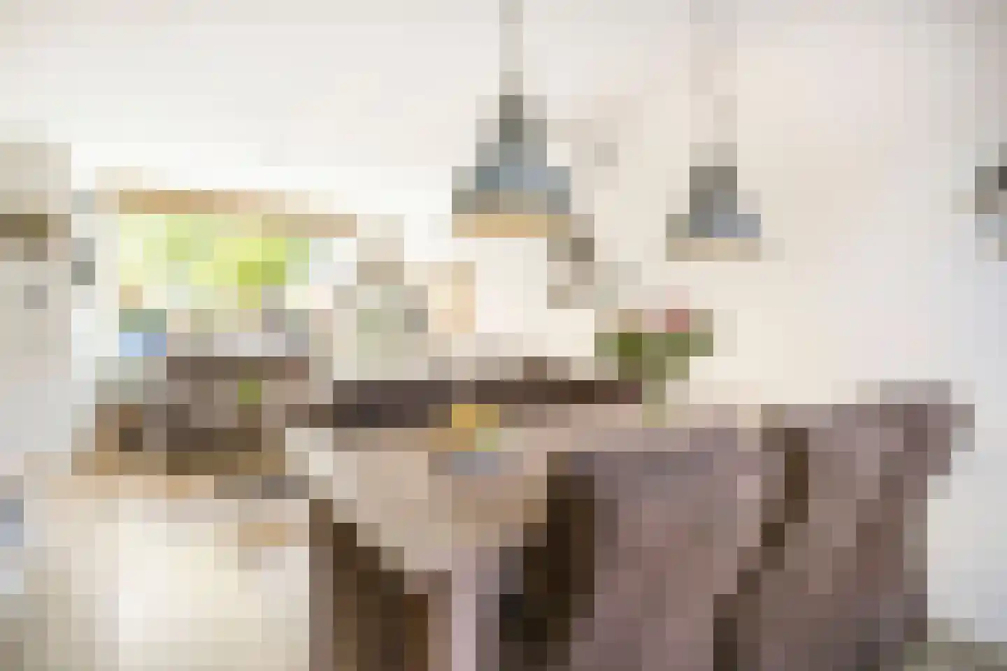 Jan Th. Tooroplaan 82 Ede thumbnail 15