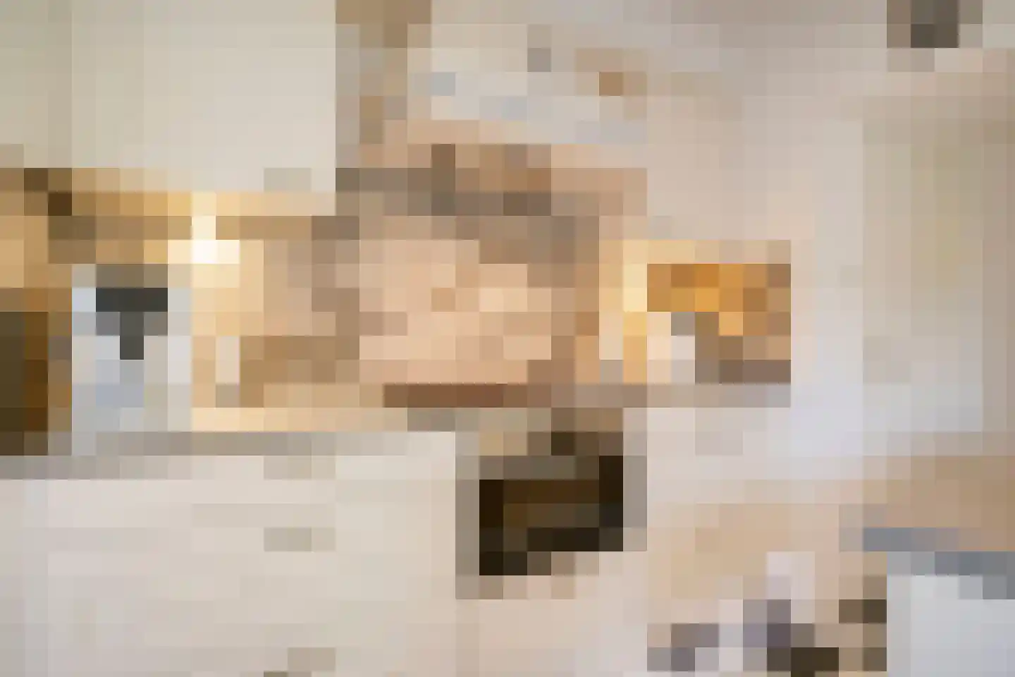Jan Th. Tooroplaan 82 Ede thumbnail 18