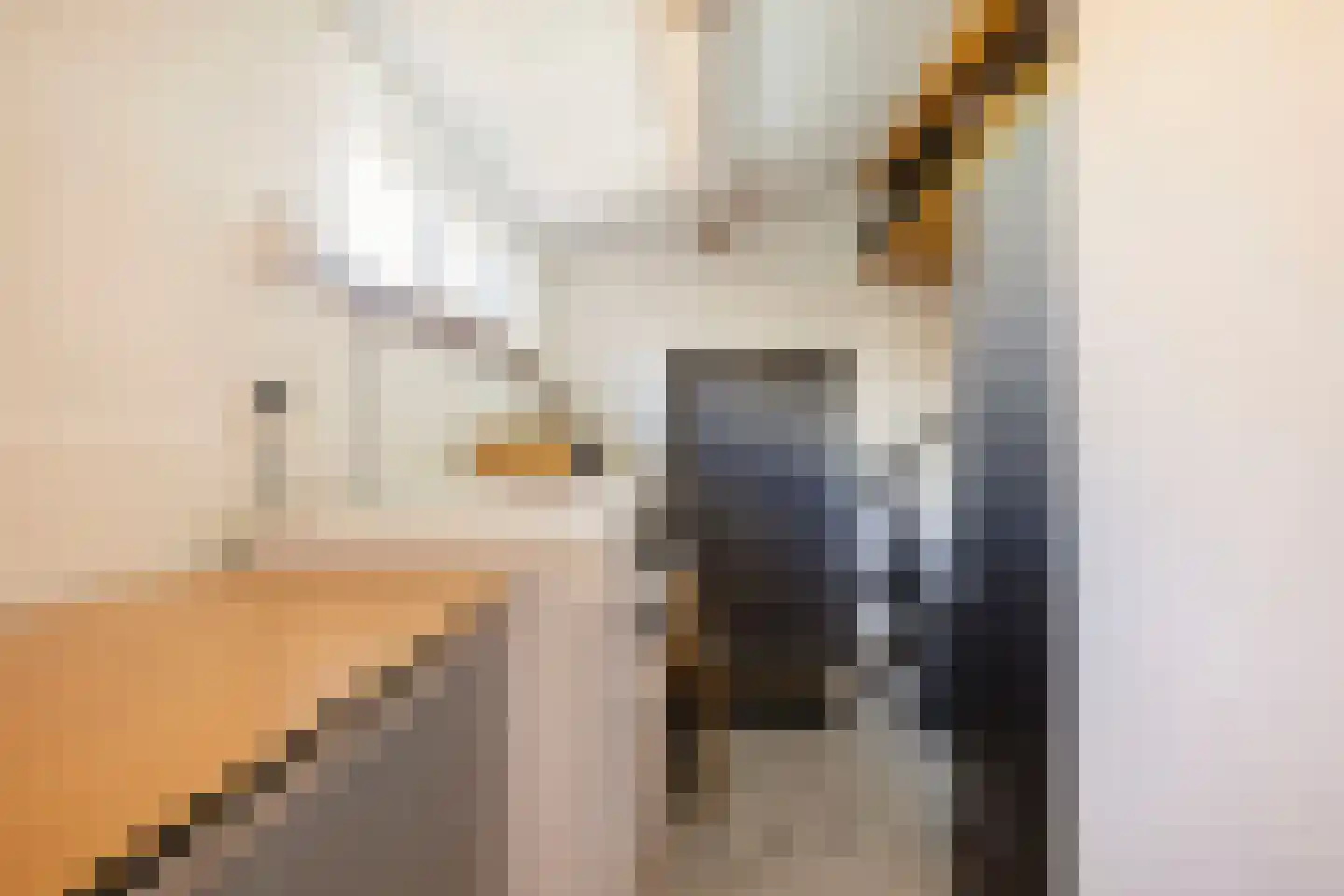 Jan Th. Tooroplaan 82 Ede thumbnail 24