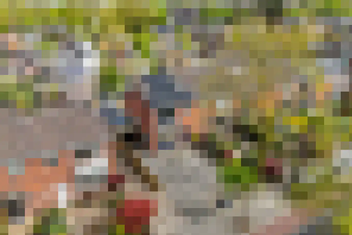 Jan Th. Tooroplaan 82 Ede thumbnail 53