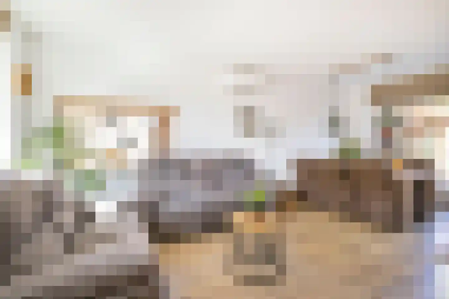 Jan Th. Tooroplaan 82 Ede thumbnail 7