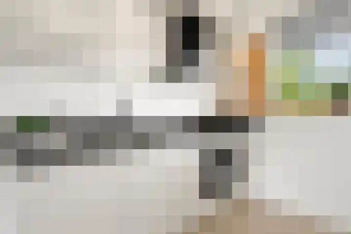 Jan Th. Tooroplaan 93 Ede thumbnail 11
