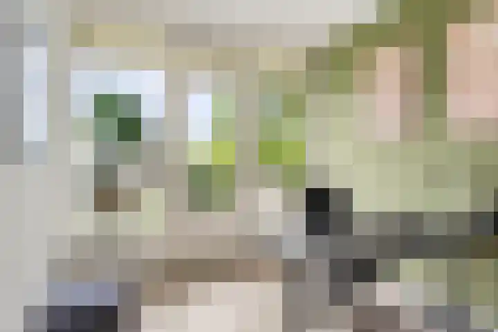 Jan Th. Tooroplaan 93 Ede thumbnail 12