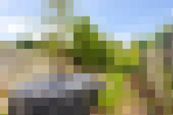Jan Theunisz Kampstraat 2 Den Helder thumbnail 12