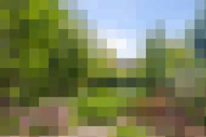 Jan Theunisz Kampstraat 2 Den Helder thumbnail 13
