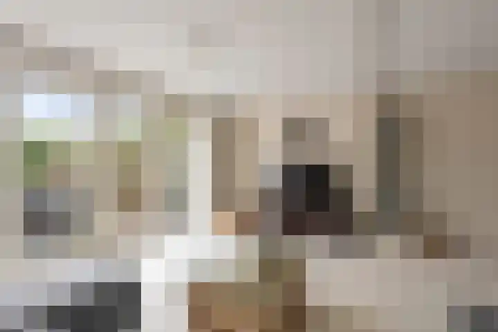 Jan Theunisz Kampstraat 2 Den Helder thumbnail 6