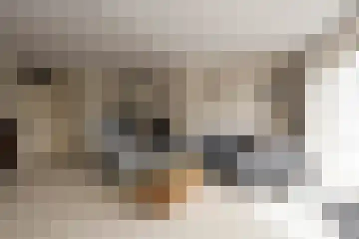 Jan Theunisz Kampstraat 2 Den Helder thumbnail 7