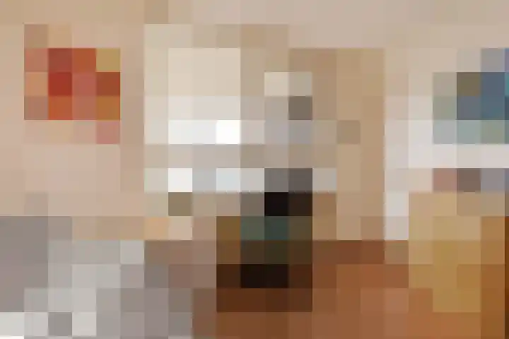 Jan Thoméelaan 36 Delft thumbnail 24