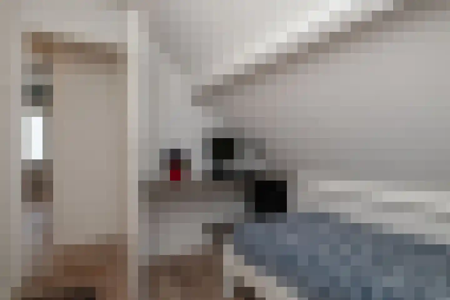 Jan Tijmensteeg 1 Nijkerk thumbnail 23