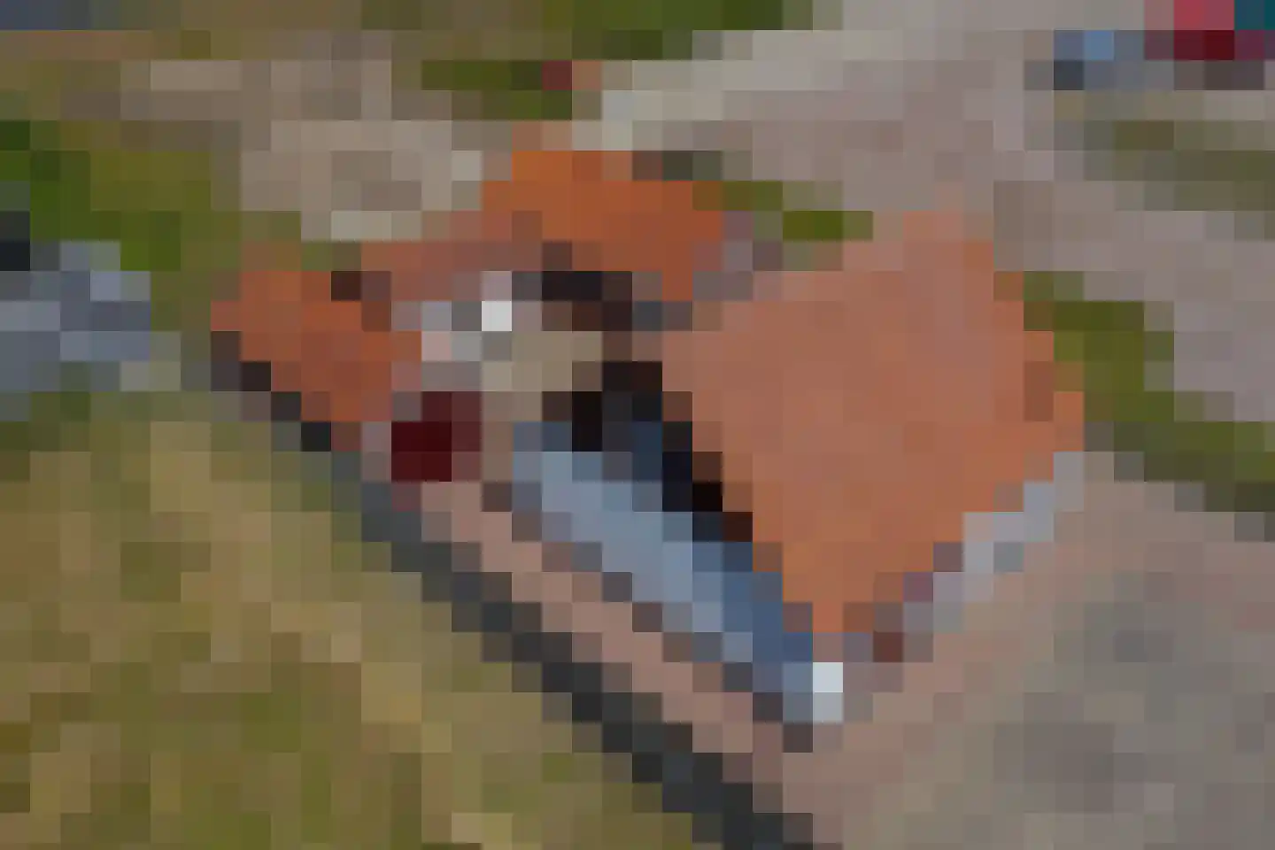 Jan Tijmensteeg 1 Nijkerk thumbnail 5