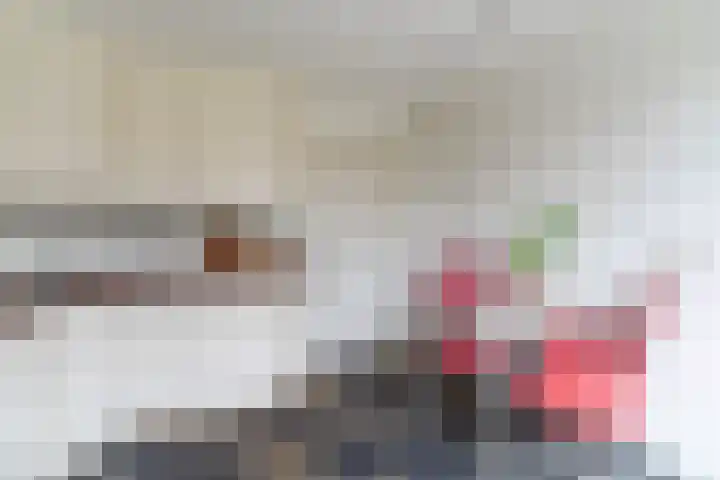 Jan Tinbergenlaan 3 Berkel-Enschot thumbnail 16