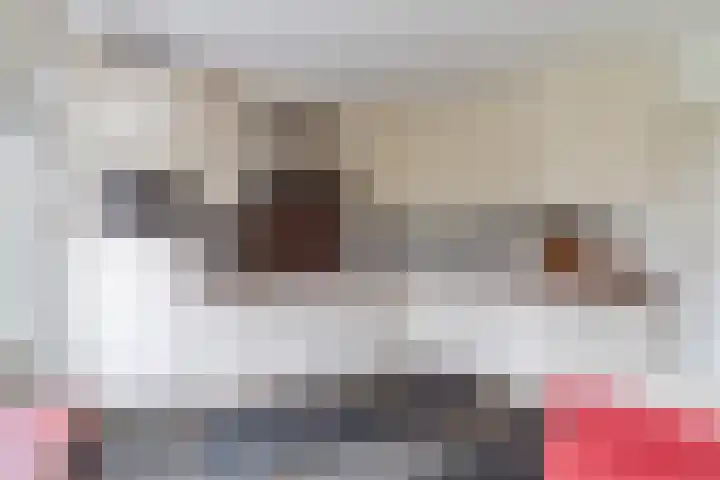 Jan Tinbergenlaan 3 Berkel-Enschot thumbnail 17
