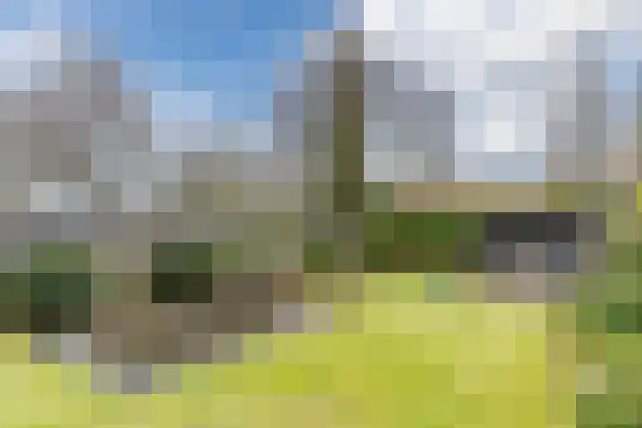 Jan Tinbergenlaan 3 Berkel-Enschot thumbnail 22