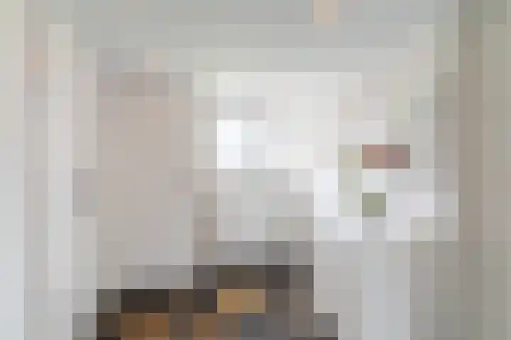 Jan Tinbergenlaan 3 Berkel-Enschot thumbnail 26