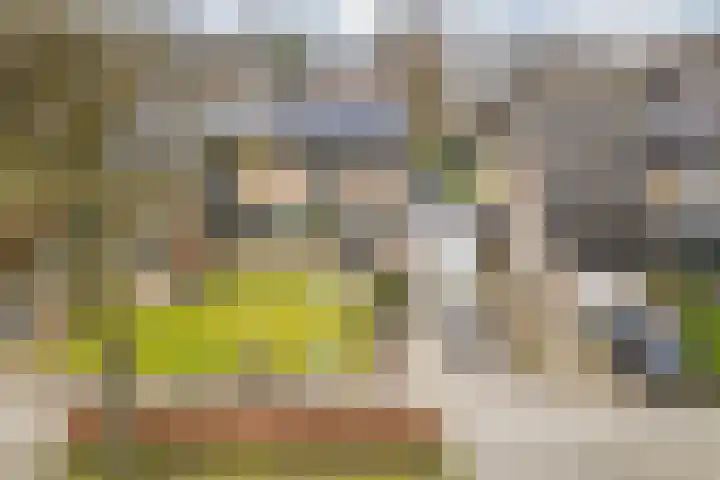 Jan Tinbergenlaan 3 Berkel-Enschot thumbnail 4