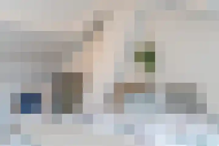Jan Tinbergenlaan 3 Berkel-Enschot thumbnail 43
