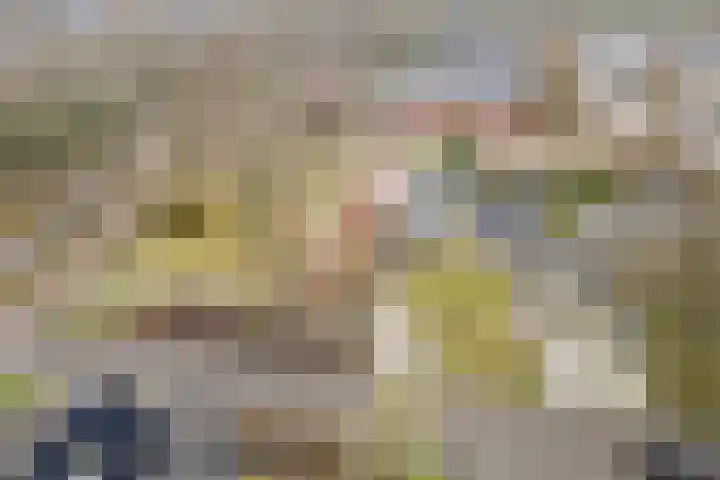 Jan Tinbergenlaan 3 Berkel-Enschot thumbnail 53
