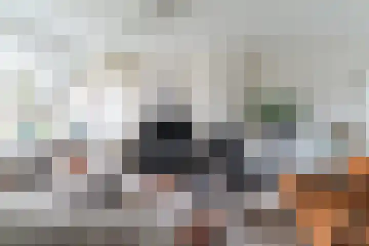 Jan Tinbergenlaan 3 Berkel-Enschot thumbnail 8