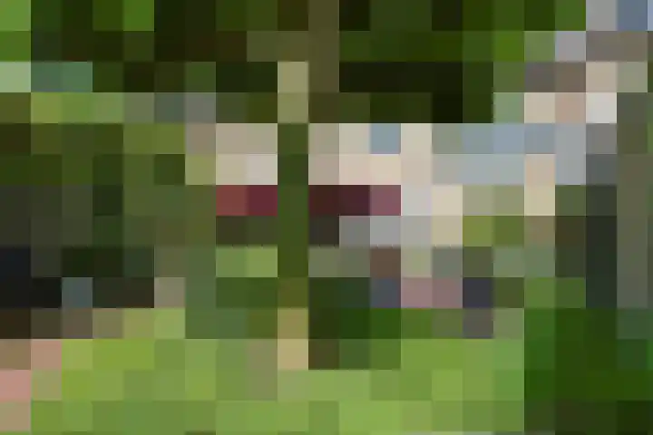 Jan Tinbergenlaan 58 Berkel-Enschot thumbnail 33