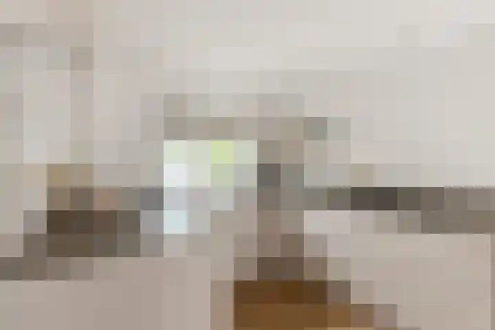 Jan Tinbergenlaan 70 Berkel-Enschot thumbnail 10