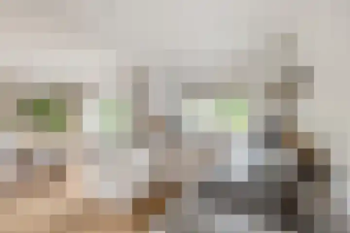 Jan Tinbergenlaan 70 Berkel-Enschot thumbnail 11