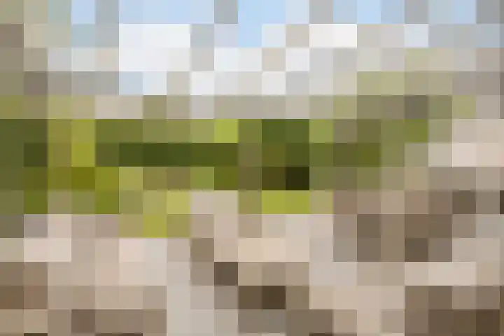 Jan Tinbergenlaan 70 Berkel-Enschot thumbnail 37