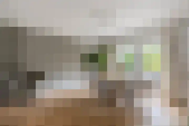 Jan Tinbergenlaan 70 Berkel-Enschot thumbnail 5