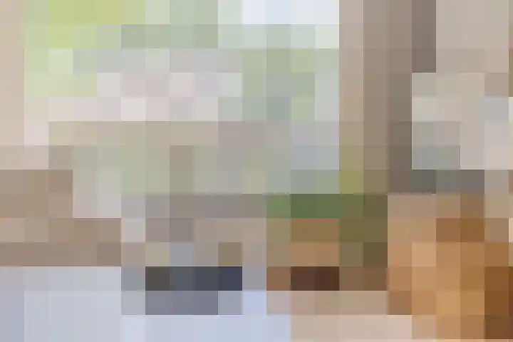 Jan Tinbergenlaan 70 Berkel-Enschot thumbnail 8