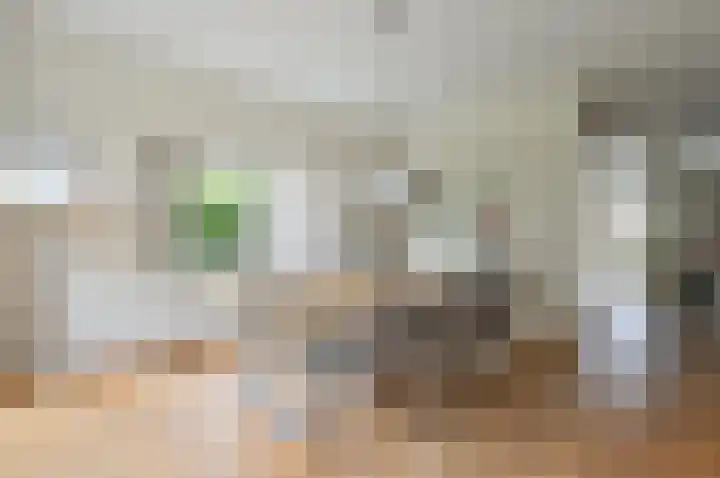 Jan Toebacklaan 16 Bussum thumbnail 18