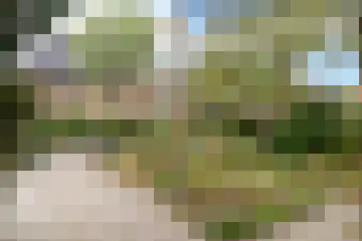 Jan Toebacklaan 16 Bussum thumbnail 5